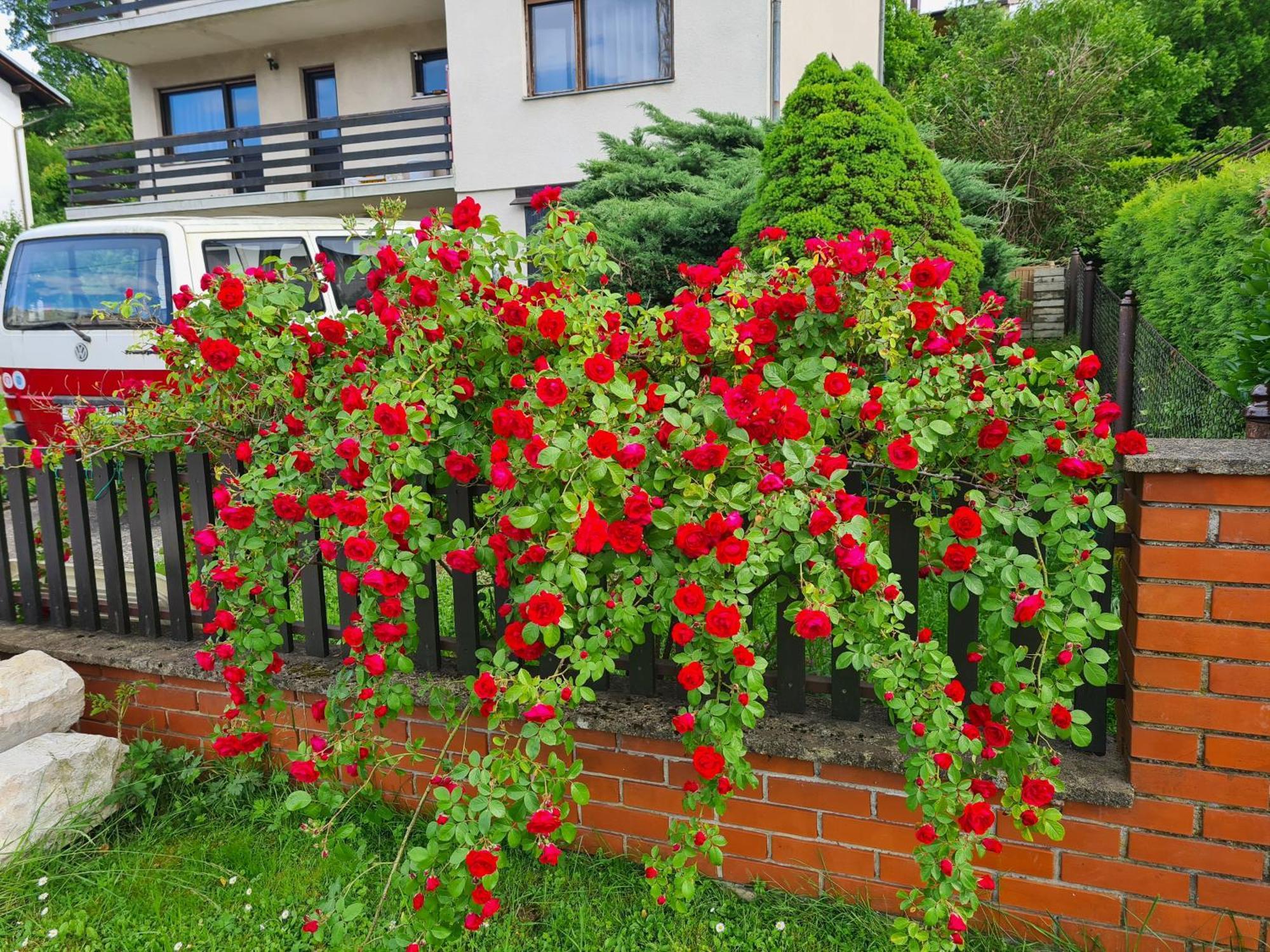 Happy Sparrow Karlovac Exterior photo